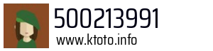 500213991