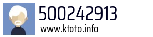 500242913