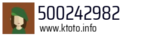 500242982