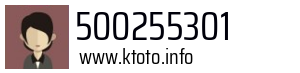 500255301