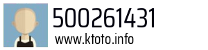 500261431