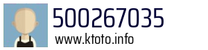 500267035