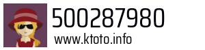 500287980
