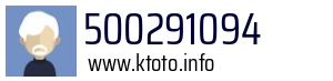 500291094