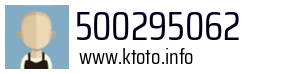 500295062