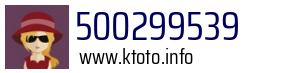 500299539