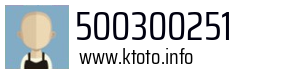 500300251