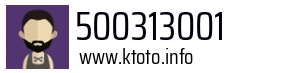 500313001