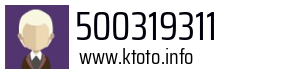 500319311