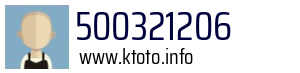 500321206