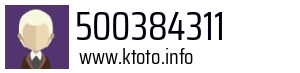 500384311
