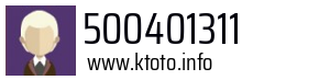 500401311