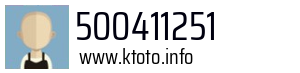 500411251