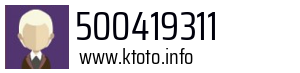 500419311