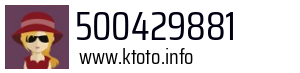 500429881