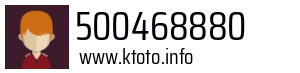 500468880