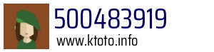 500483919