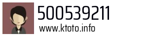 500539211
