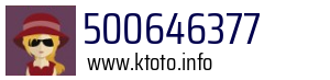 500646377