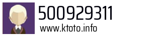 500929311