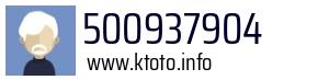 500937904