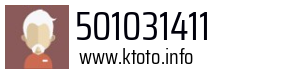 501031411