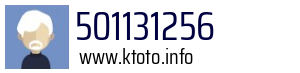 501131256