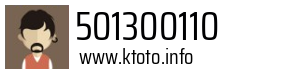 501300110