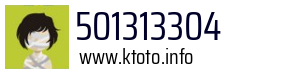 501313304