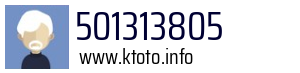 501313805