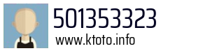 501353323
