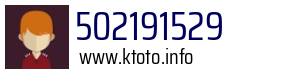 502191529