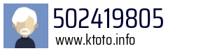 502419805
