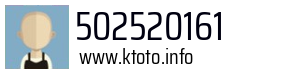 502520161