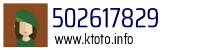 502617829