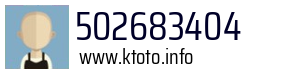 502683404
