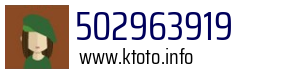 502963919