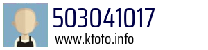 503041017