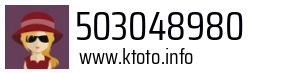 503048980
