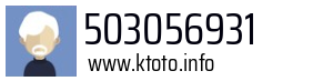 503056931