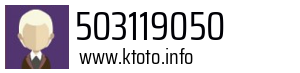 503119050