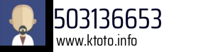 503136653