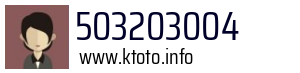 503203004