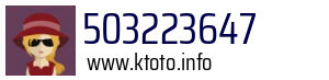 503223647