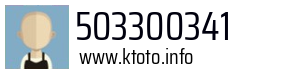 503300341