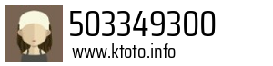 503349300