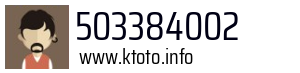 503384002