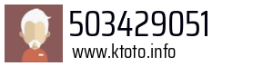 503429051