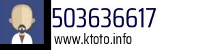 503636617