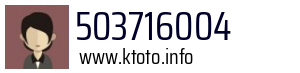 503716004
